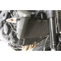R&G Racing Radiator & Oil Cooler Guard for the Triumph Speed Triple S/R/RS '06-'09 ETC R&G Racing Radiator & Oil Cooler Guard for the Triumph Speed Triple S/R/RS '06-'09 ETC